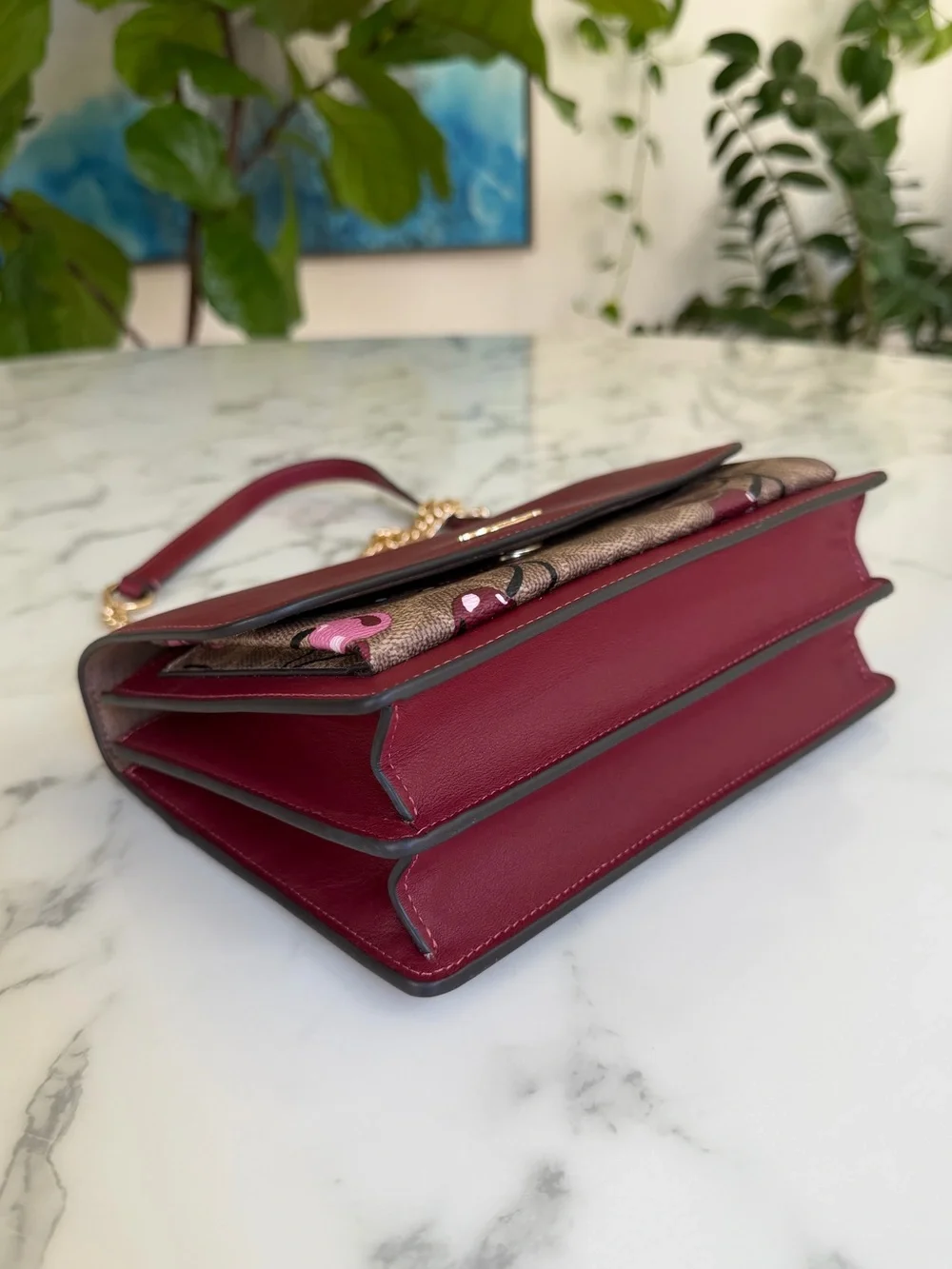 Coach Klare Crossbody Bag In Signature Canvas With Cherry Print CY689 Gold Tan
